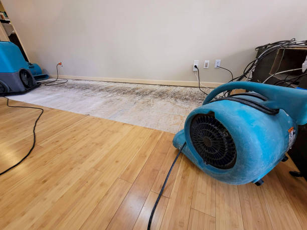 Professional Water Damage Repair technician working in Glenwood Springs, CO